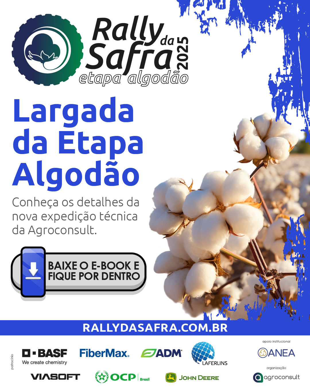 algodão